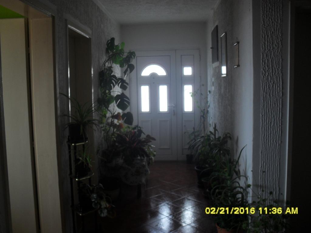 Apartment Batricevic Ulcinj Bagian luar foto